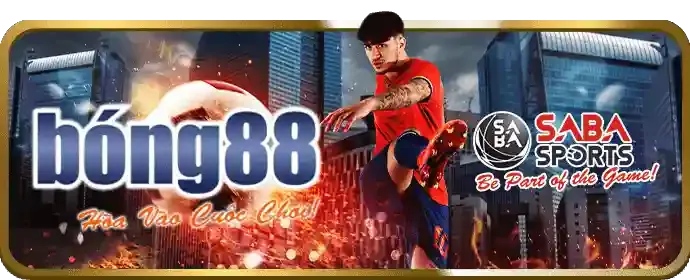 Banner và tài liệu quảng cáo đa dạng